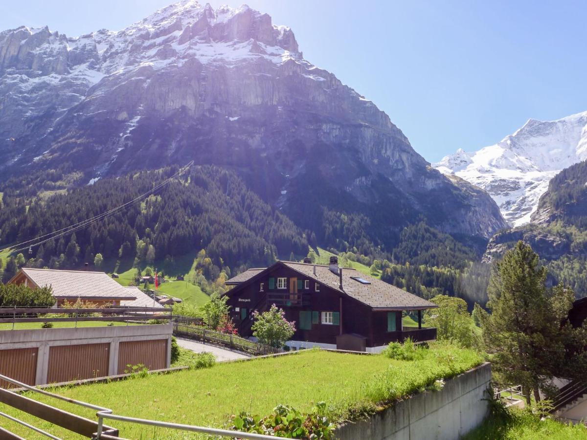 Apartment Chalet Almis-Boedeli-1 By Interhome グリンデルヴァルト エクステリア 写真